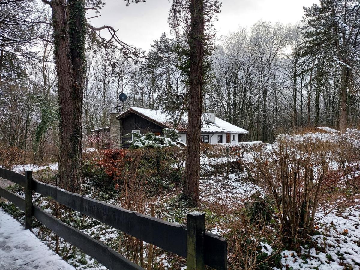 Chalet Des Pins D'Autriche Comblain-Fairon Exterior foto