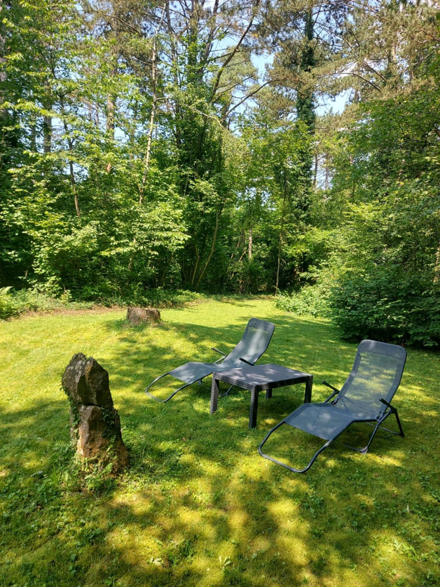 Chalet Des Pins D'Autriche Comblain-Fairon Exterior foto